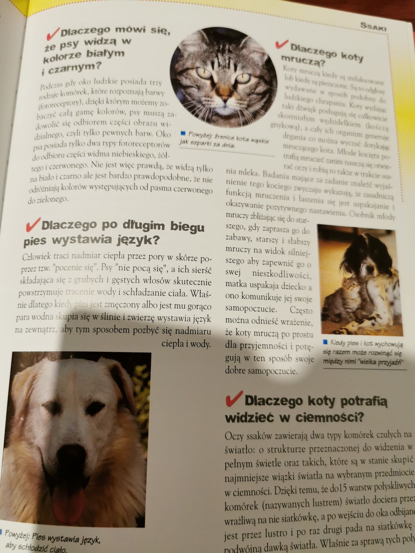 Czy wiesz dlaczego pytania i odpowiedzi