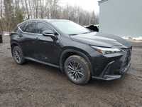 Lexus NX 2023 LEXUS NX 250 / Benzyna / 4x4 / Automat