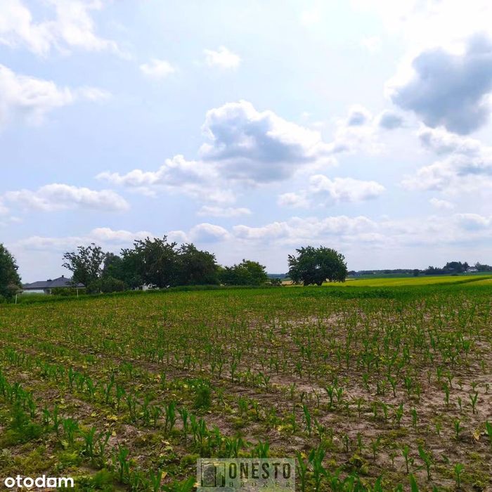 Działka rolno-budowlana  30a, MN jednorodzinna, Widok, Cisza, Zieleń