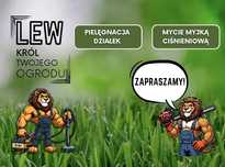 Usługi ogrodnicze, koszenie trawy, mycie kostki brukowej i elewacji