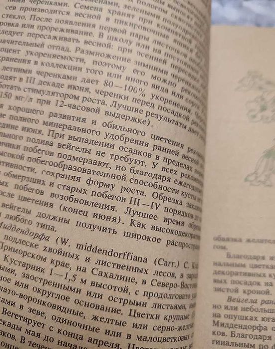 Книга «Деревья и кустарники для люб. садоводства и озеленения»
