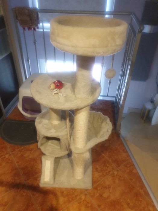 Drapak dla kota sredni