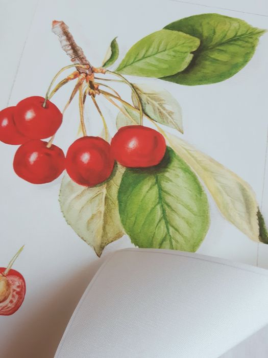 Gobelin na płótnie HD/Obrazek/Vintage Retro Fruit, Cherries