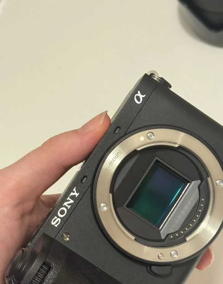 Sony A6700 + 18-135