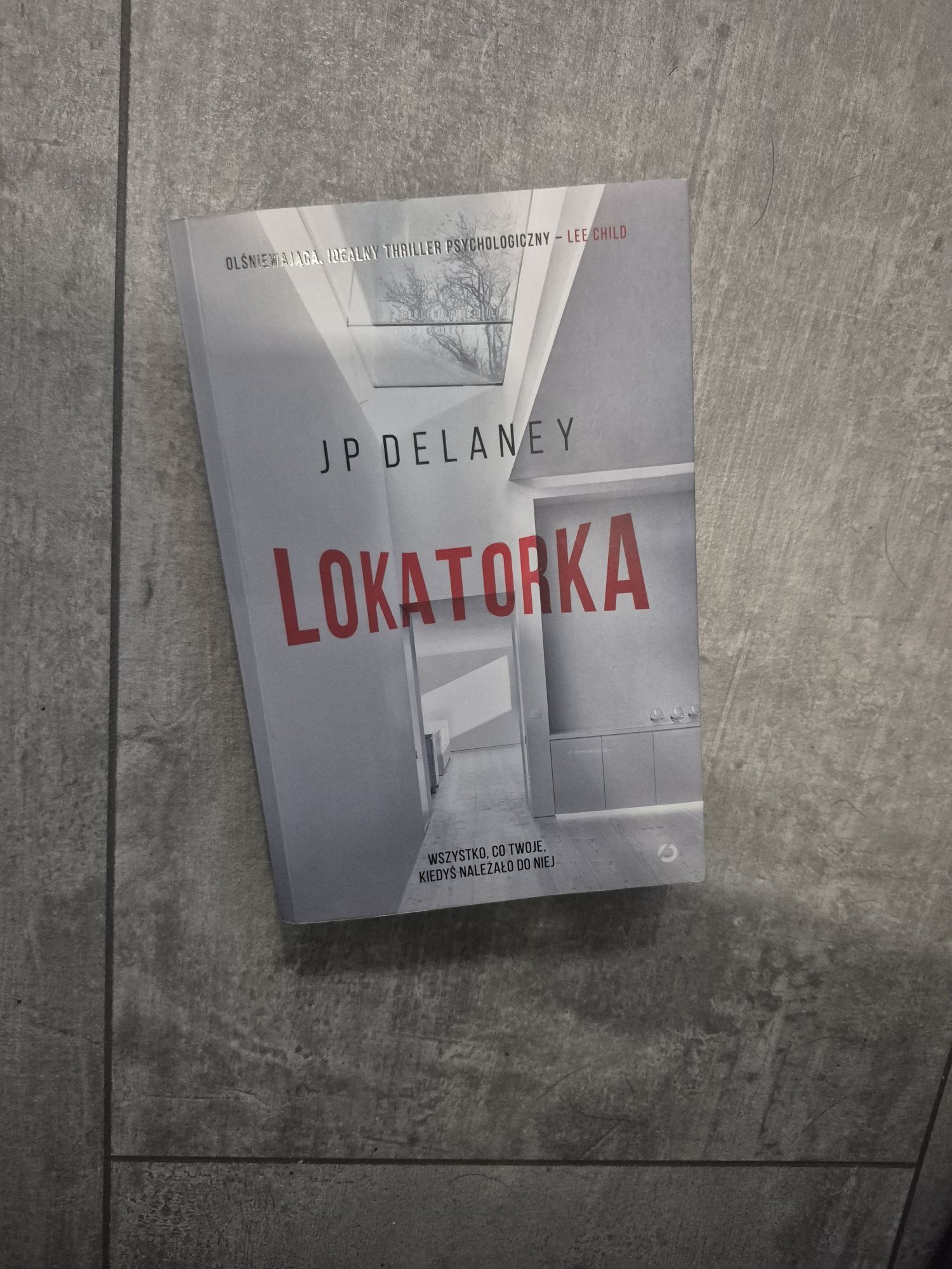 JP Delaney Lokatorka