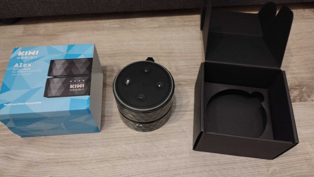 Alexa z baterią idealny
