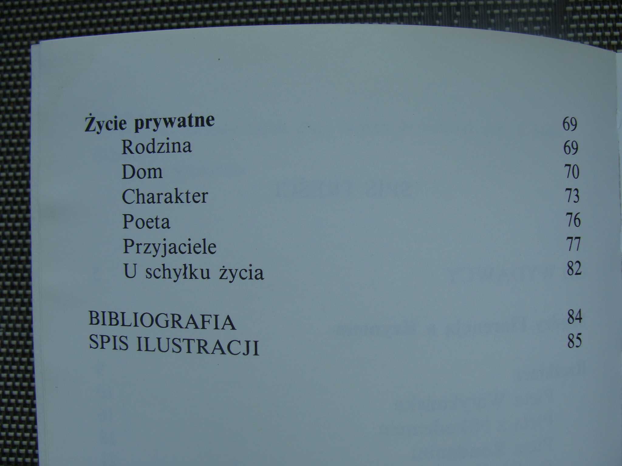 Michał Anioł Buonarroti - Bożena Fabiani dedykacja (P)