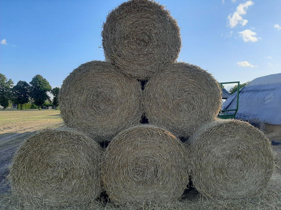 Słoma Tegoroczna, Siano, Sianokiszonka 120X130