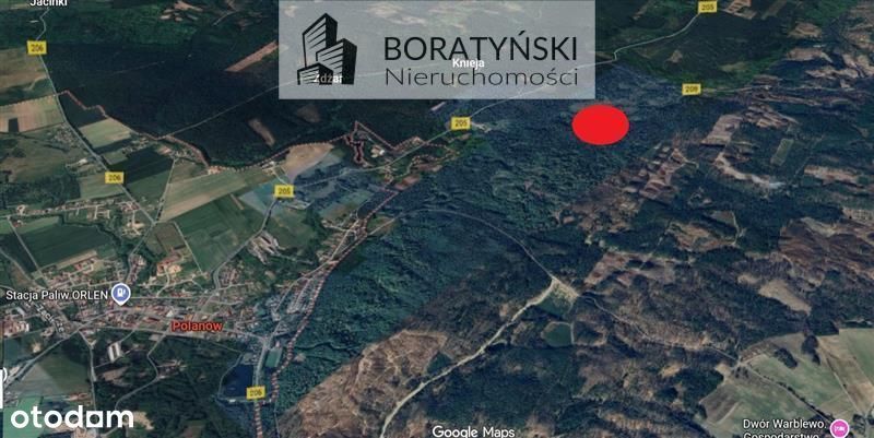 Działka z linią brzegową rzeki Grabowa