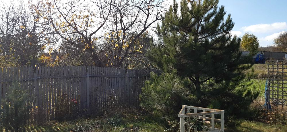 продаєм будинок із жилою літнєю кухнею