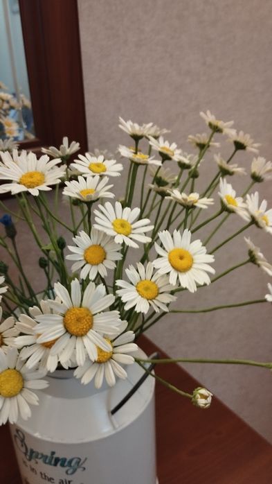 Продаю полевые цветы из полимерной глины холодный фарфор