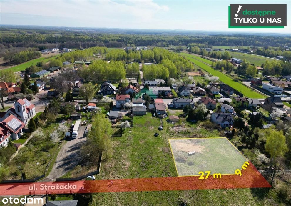 Działka, Aleksandria