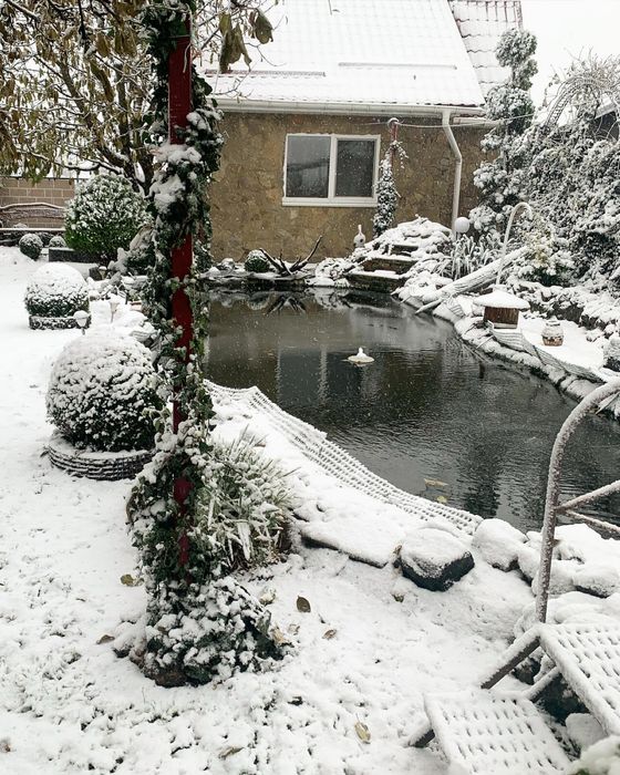 Оренда затишного будинку для сім'ї,  друзів. Різдво. Новий рік