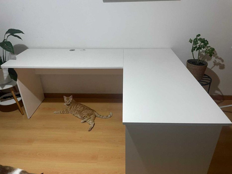 Secretaria de escritório
