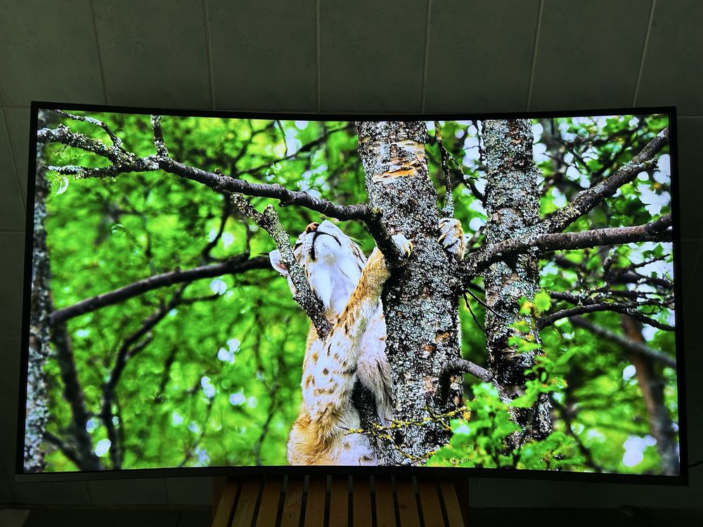 Samsung 49’’ 4K Curved, SmartTv Stopa Pilot Przewód