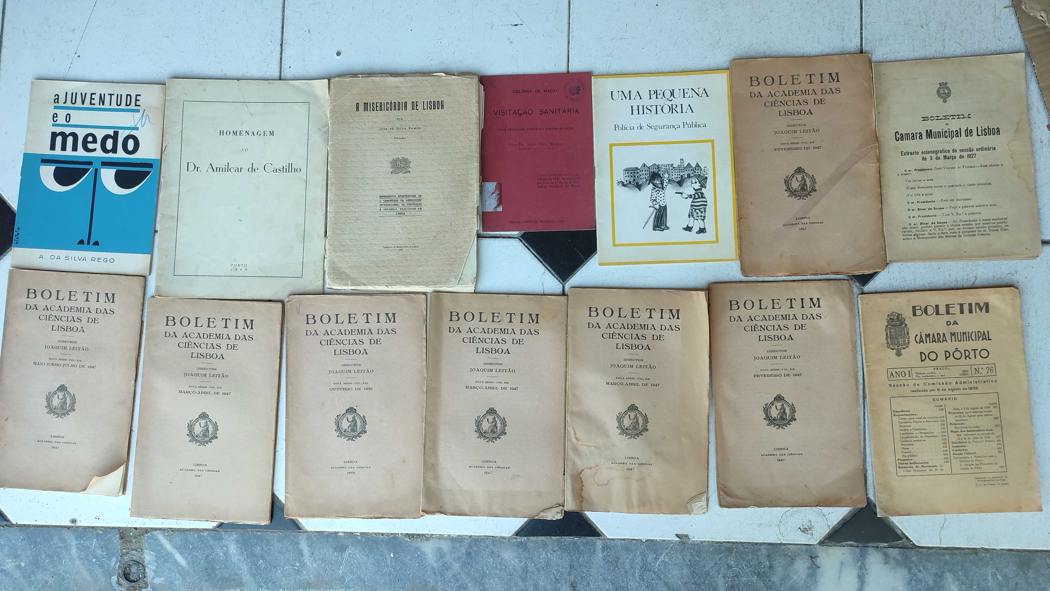 Lote 86 Publicações diversas, brochuras e outros História e Politica
