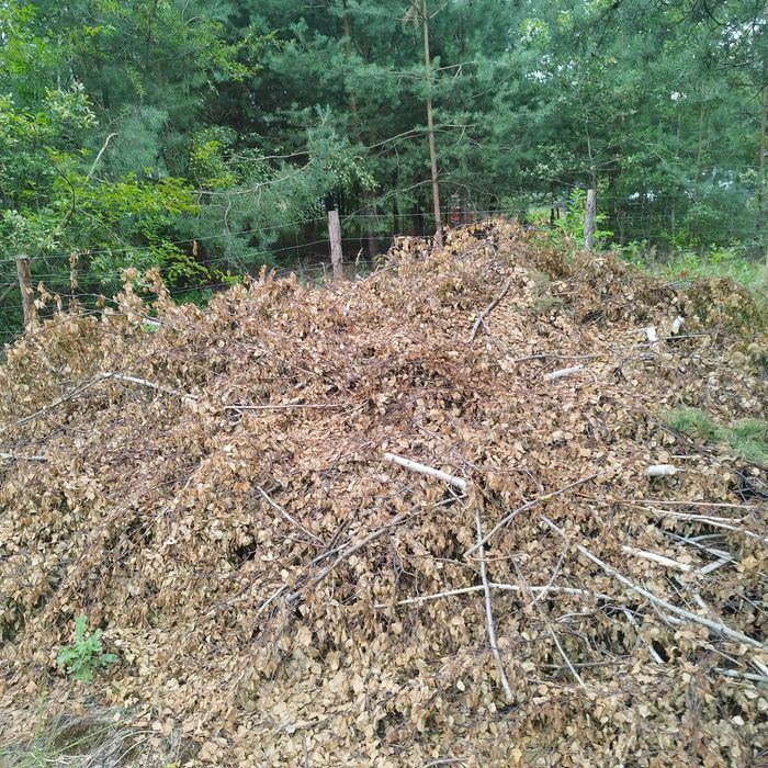 Drewno gałęzie na opał rozpałke oddam