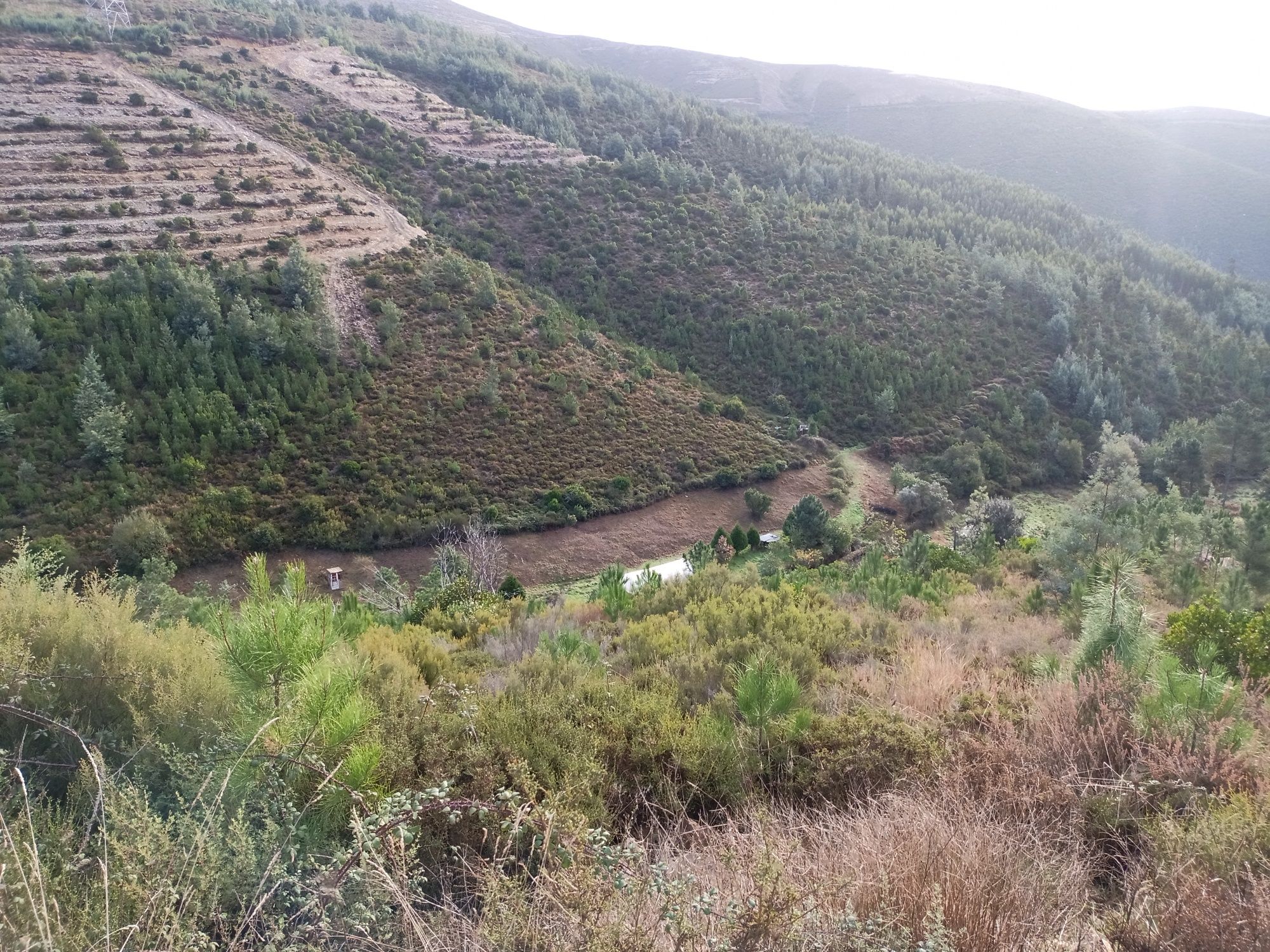 Limpezas de terrenos