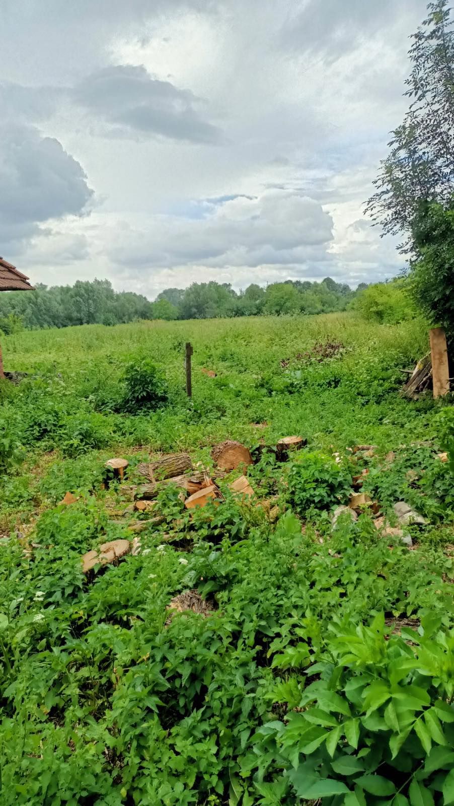 Будинок в тихому місті з великою ділянкою