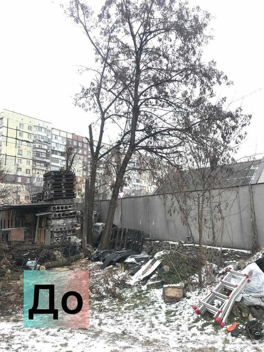 Спил дерев Безкоштовний вивіз