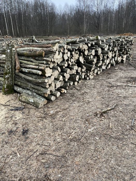 Продам дрова різних порід сосна береза дуб граб вільха