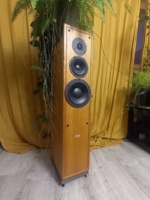 Kolumny podłogowe Dynaudio Contour 3.0 (nie mylić z 30)