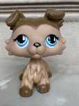 Authentic Lps littlest pet shop котик коллі дог Оригiнал Hasbro