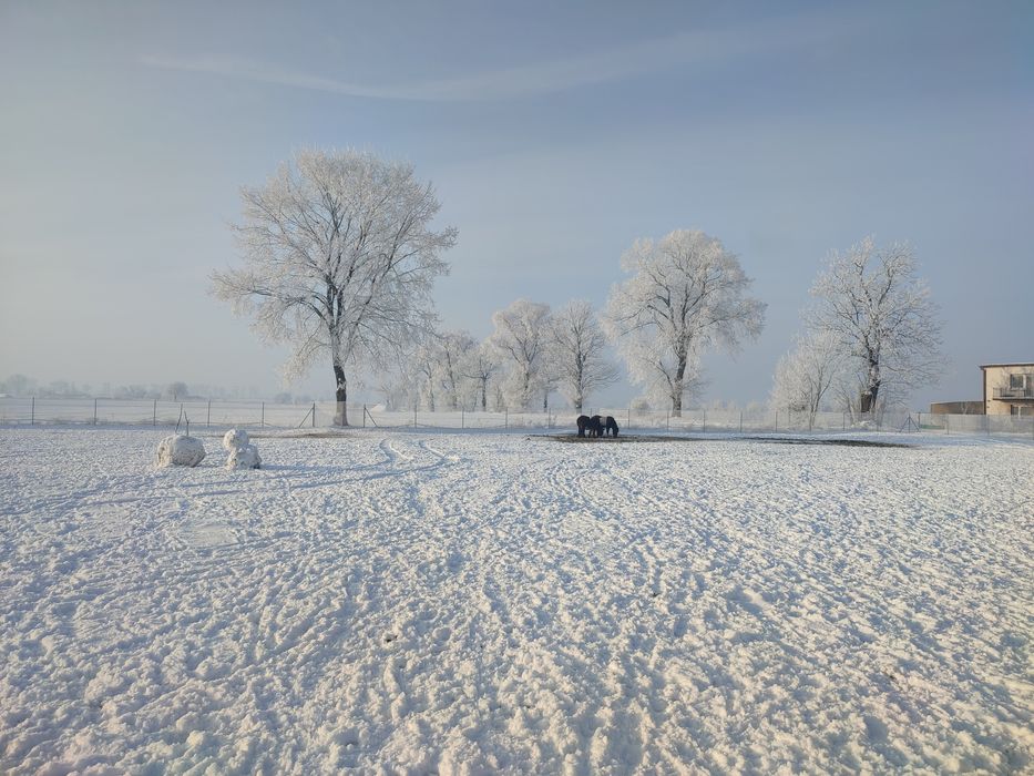 Tanie pokoje kwatery noclegi agroturystyka