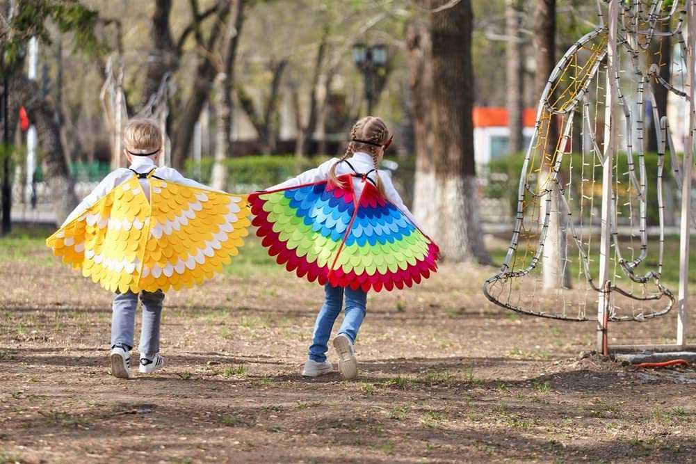 2 peças de asas de pássaro para crianças dos 3-8 anos, Carnaval