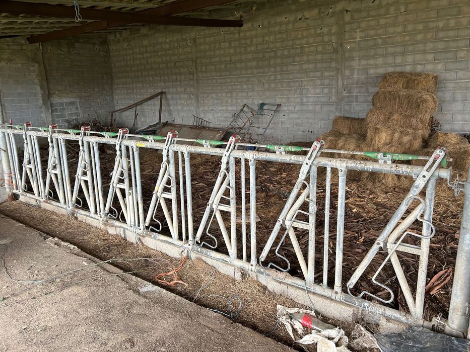 3 lotes de 8 guilhotinas