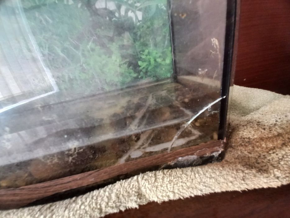 Акваріум або тераріум 70 л