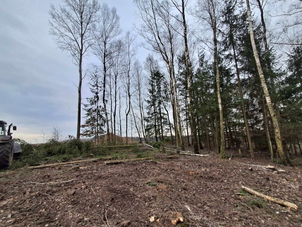 Wycinka drzew , przywracanie nieużytków, usługi rolne