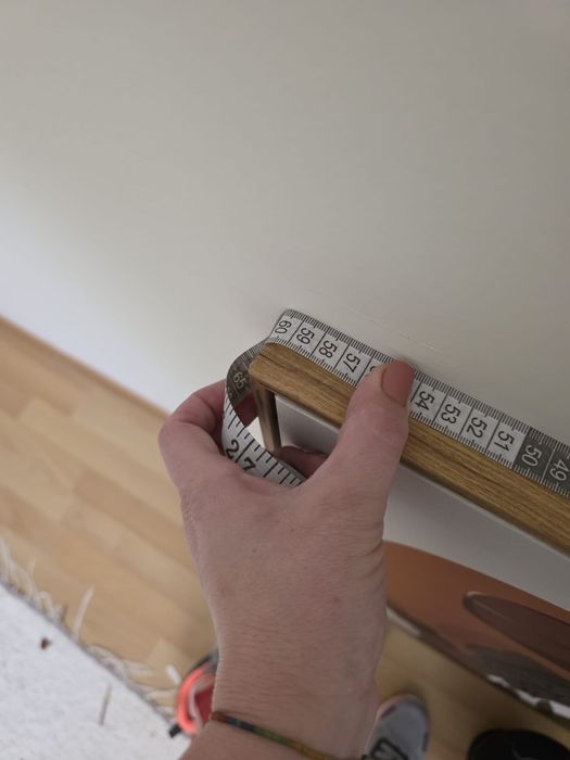 Quadro papagaio homa