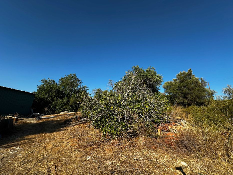 Terreno Rustico em Boliqueime, Ribeiro