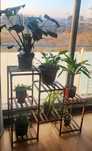 Suporte para plantas novo e embalado