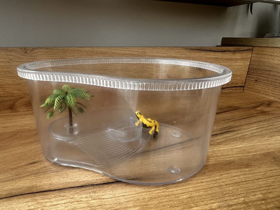 Акваріум, тераріум