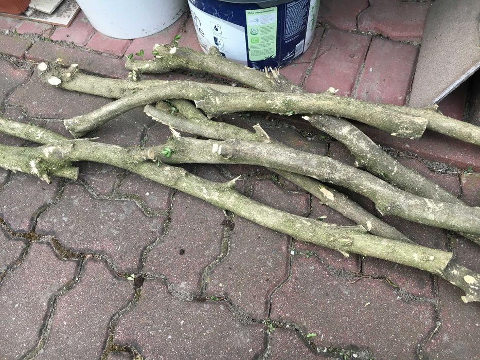 drewno bukszpan bydgoszcz rzeźbienie figurki