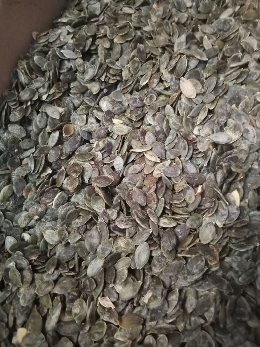 Продам Лік трави,коріння,цвіт. Продукти харчування.