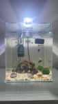 Akwarium Aquael OptiBent Set 20 l zestaw