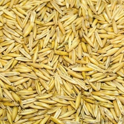 Продам овес 500 кг