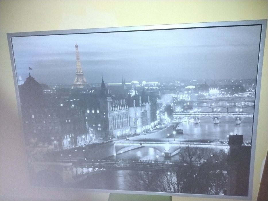 Quadro da cidade de Paris