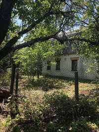 Земельный участок с домом в Бабинцах (40 км от Киева)