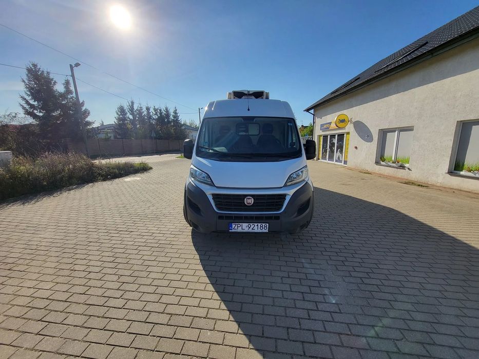 Fiat Ducato  Maxi Pro. L4H2 chłodnia mroźnia