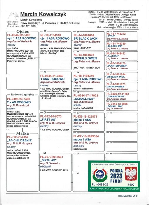 gołębie pocztowe MAŁY VOS / HET WONDER / 1 AS MWG ROGOWO