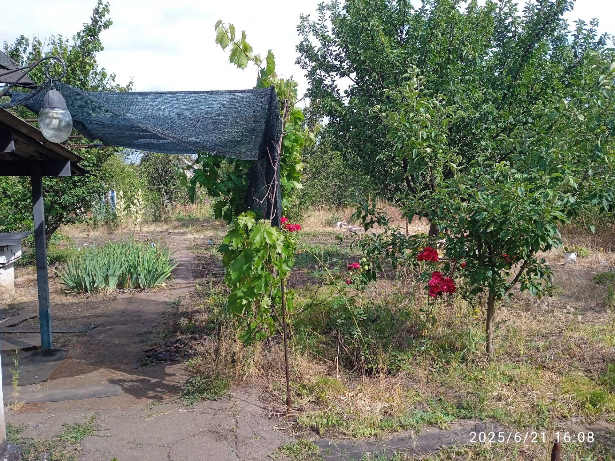 Продам дачу біля Ленінського ставка
