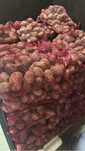 Ziemniaki Soraya Colomba Bellarosa i Baltic Rose