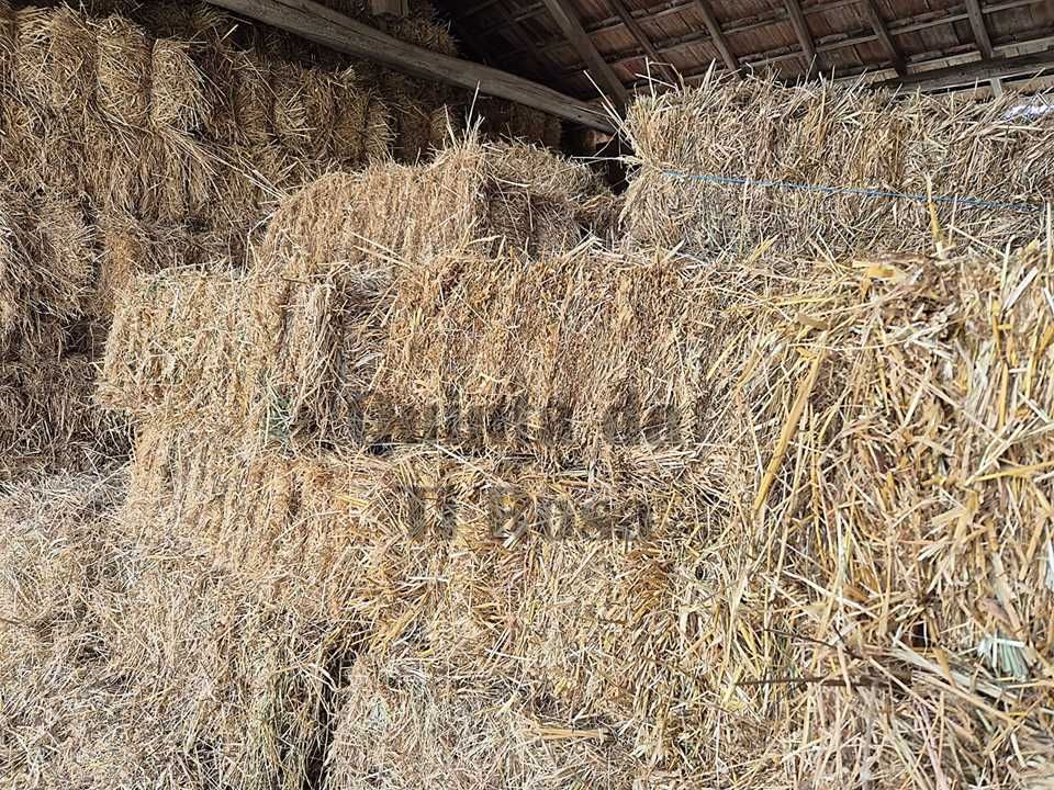 Fardos / Palha / Feno  2025