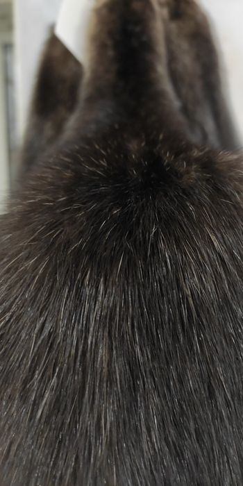 Шкурки  соболя Италия