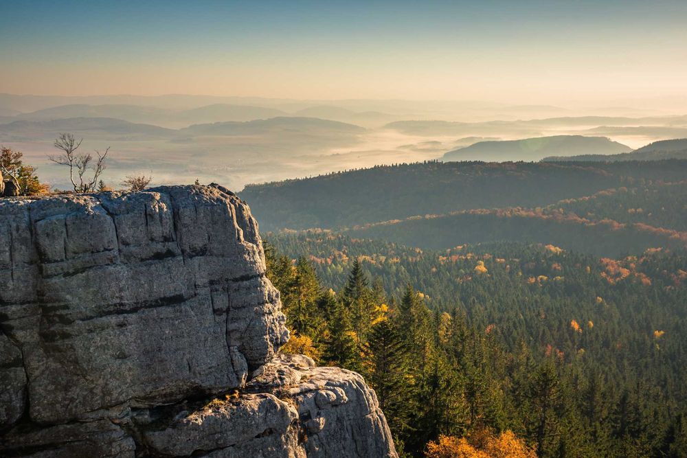 Apartament SŁONECZNY Kudowa-Zdrój