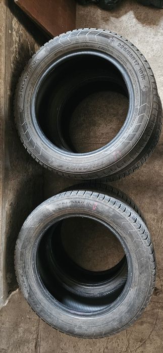 225/55 R17 101R Зима